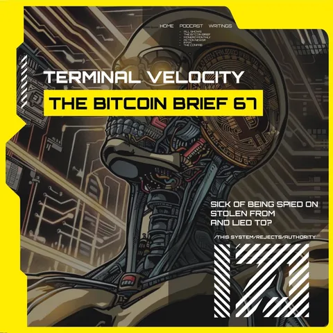 Terminal Velocity