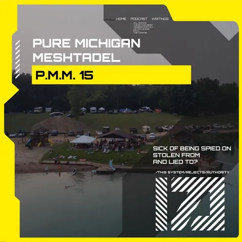 Pure Michigan Meshtadel